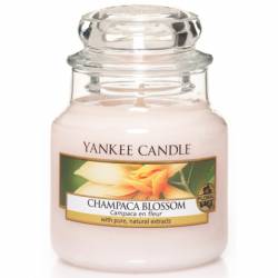 Yankee Candle Duftkerzen Champaca Blossom Artikelübersicht im
